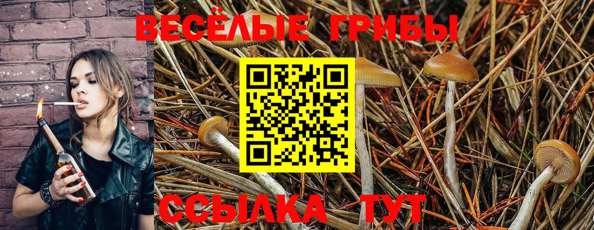 Канабис  ГАШ  Где купить  Вход с VPN  LSD-25  Меф МЯУ МЯУ кристаллы  КОКАИН  Моздок  Кодеин 